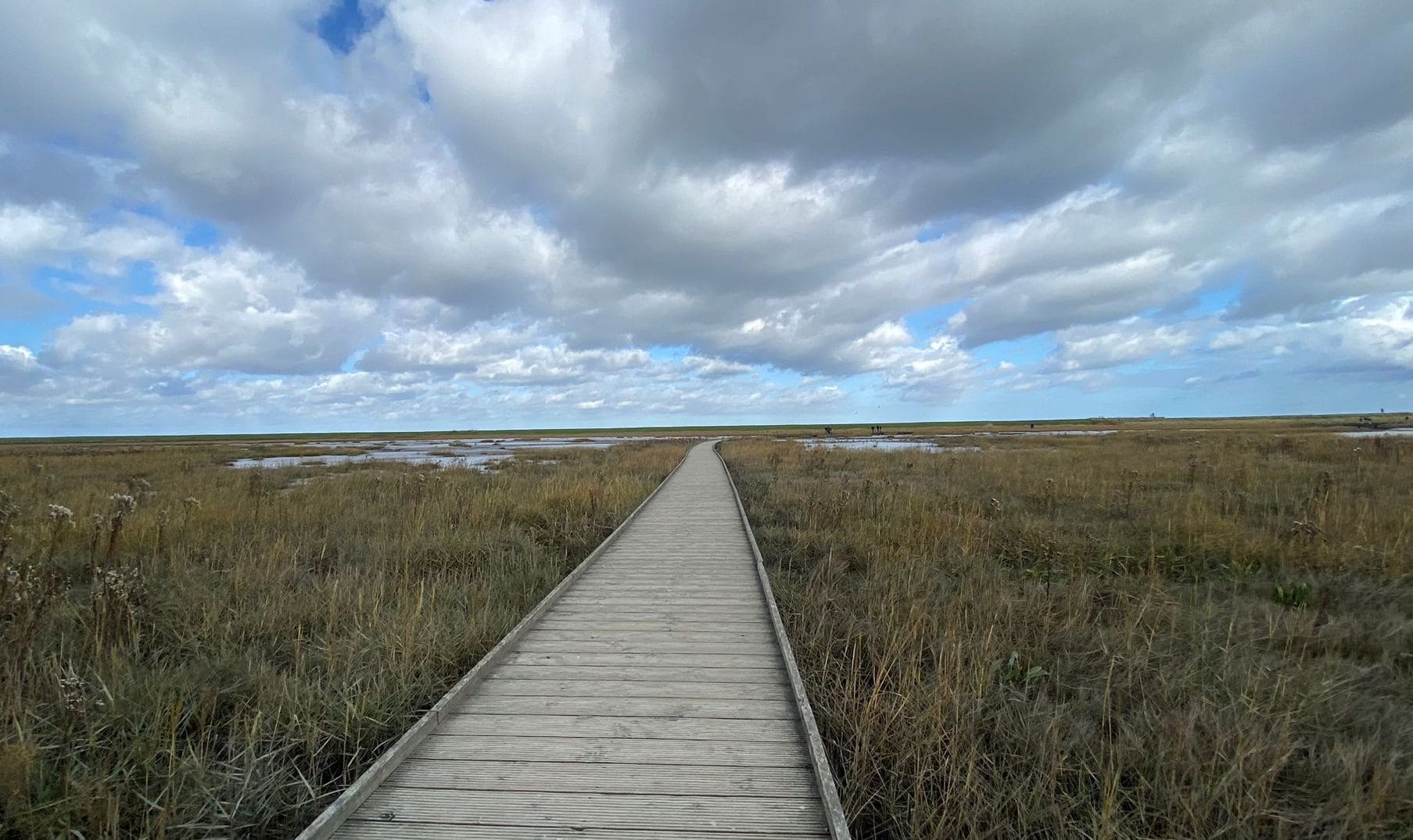 Der Langwardergroden - direkt an der Nordsee in Butjadingen.