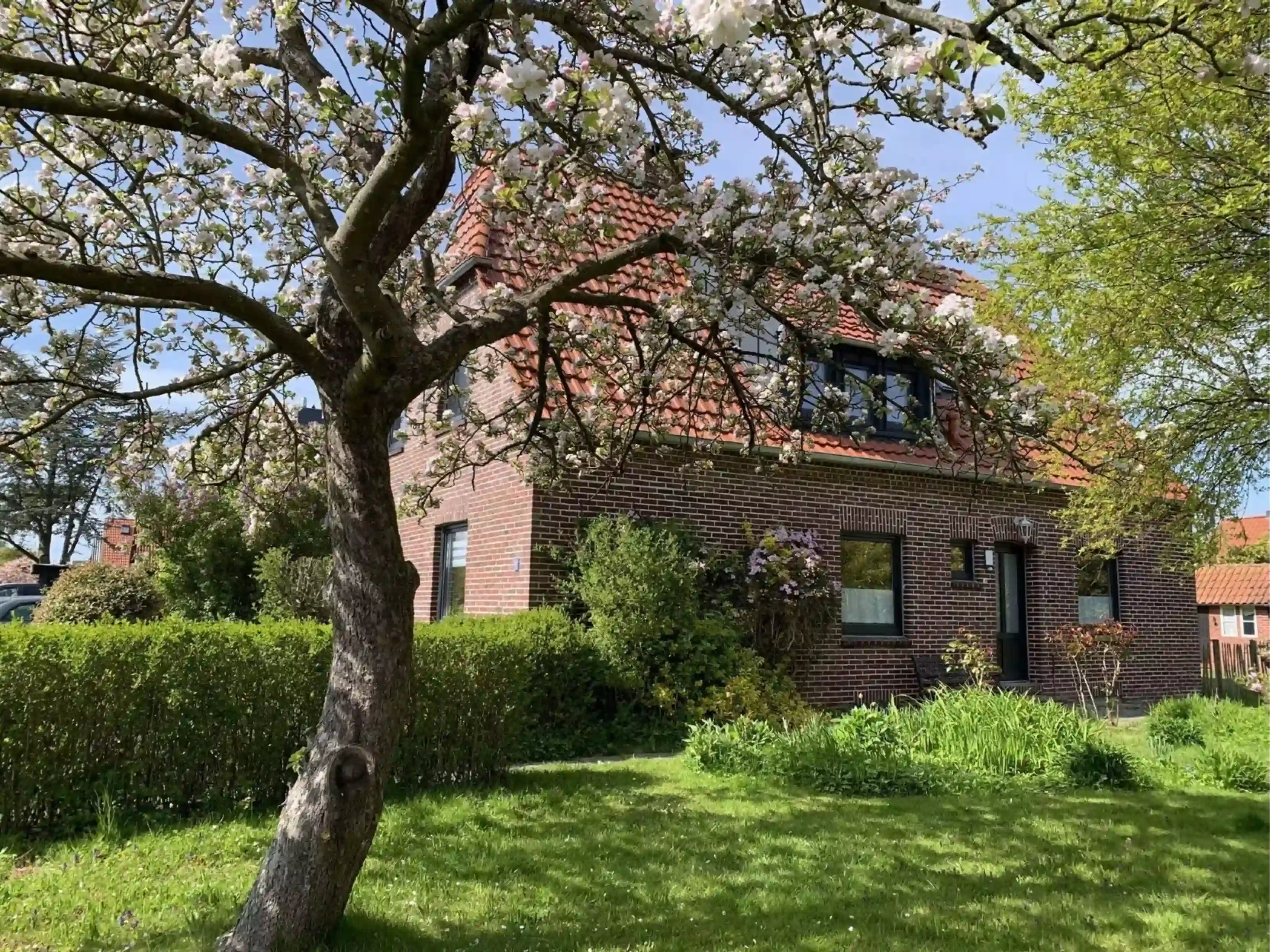 Unser Ferienhaus von NordApart umgeben von unserem toll angelegten Garten